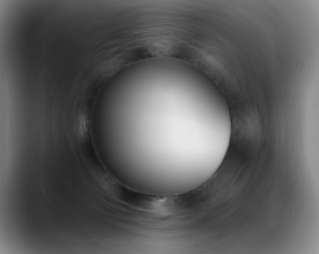 X0000089390130200706151229