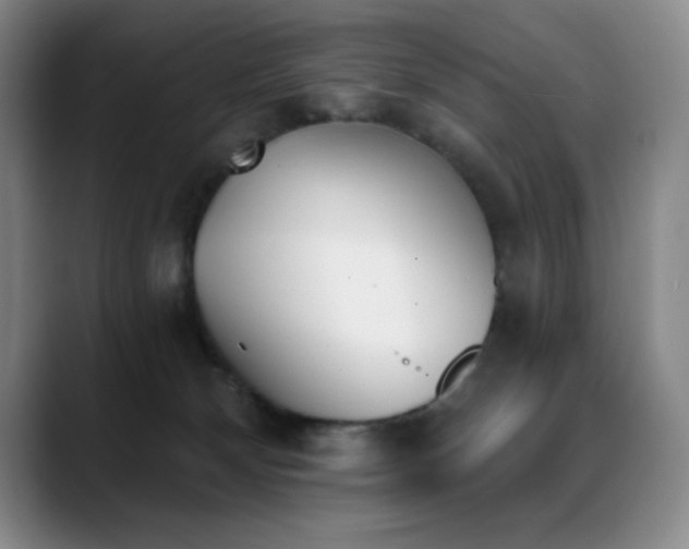 X0000089390132200706151229