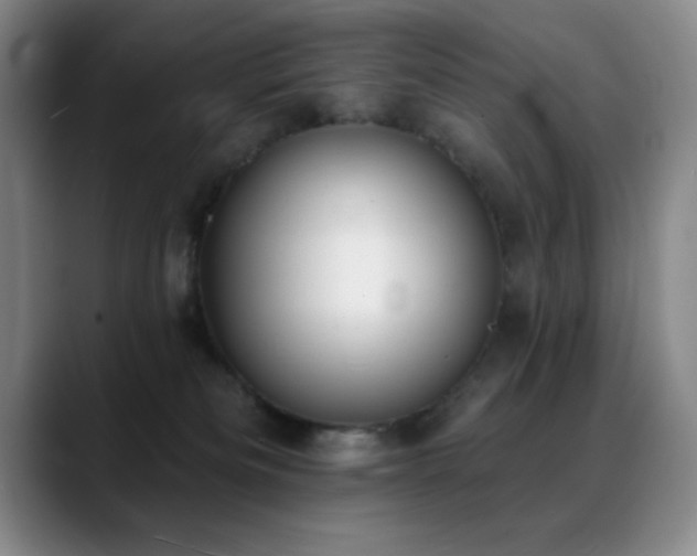 X0000089390133200706151229