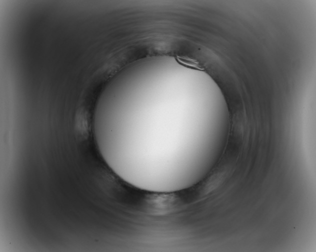 X0000089390135200706151229