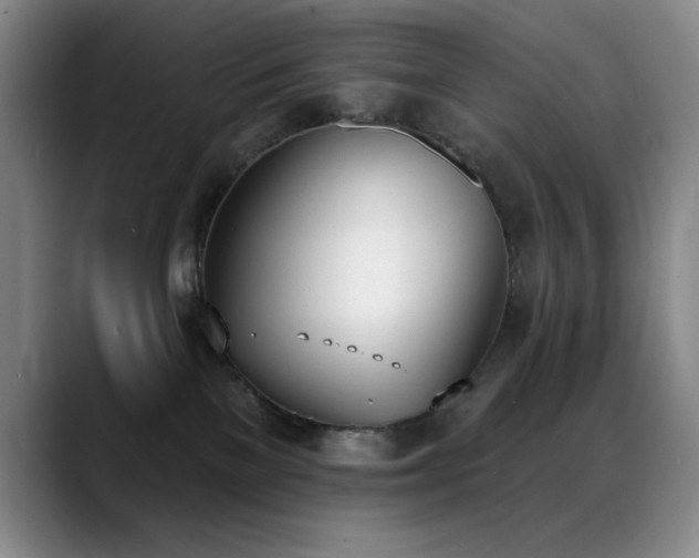 X0000089390137200706151229