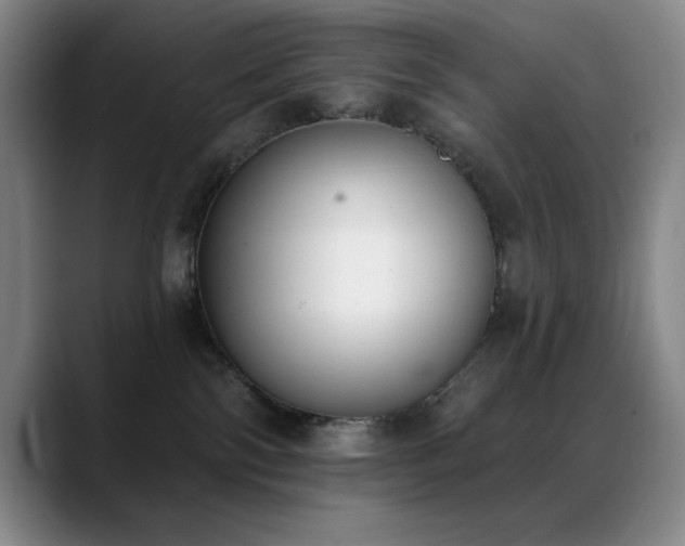 X0000089390138200706151229