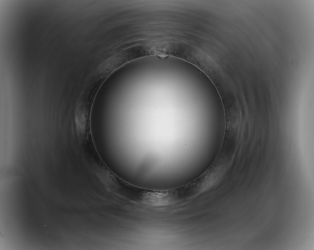X0000089390139200706151229