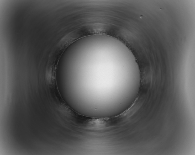 X0000089390140200706151229