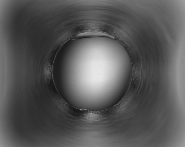 X0000089390141200706151229