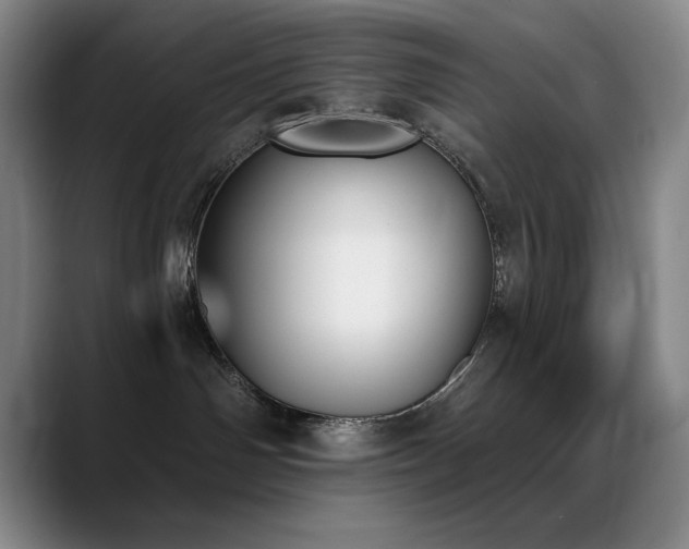 X0000089390142200706151229