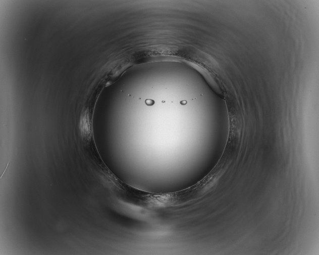 X0000089390143200706151229