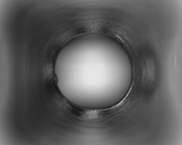 X0000089390144200706151229