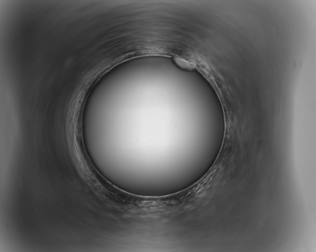 X0000089390145200706151228