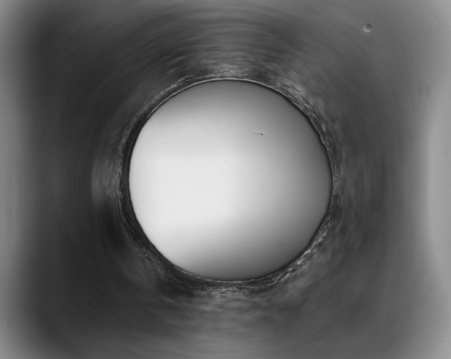 X0000089390146200706151228