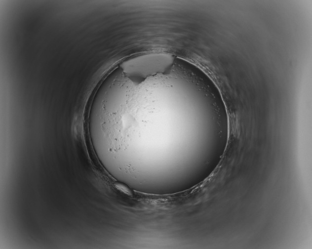X0000089390147200706151228