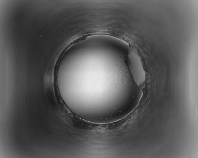 X0000089390148200706151228