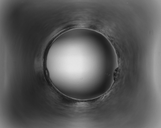 X0000089390150200706151228
