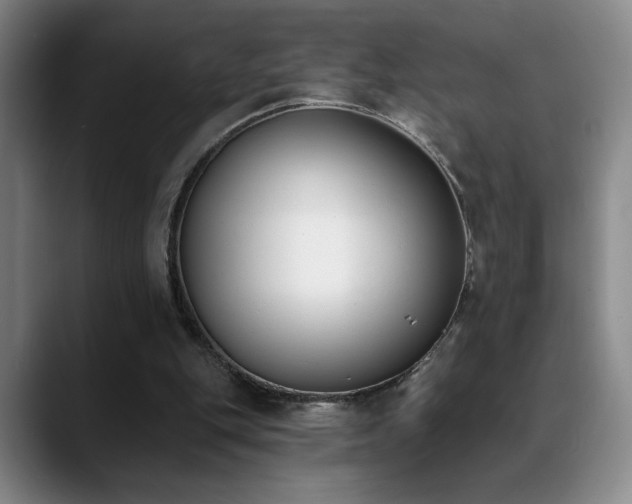 X0000089390151200706151228