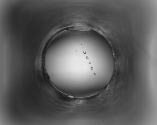 X0000089390152200706151228