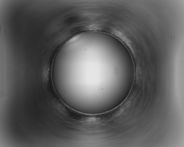 X0000089390153200706151228