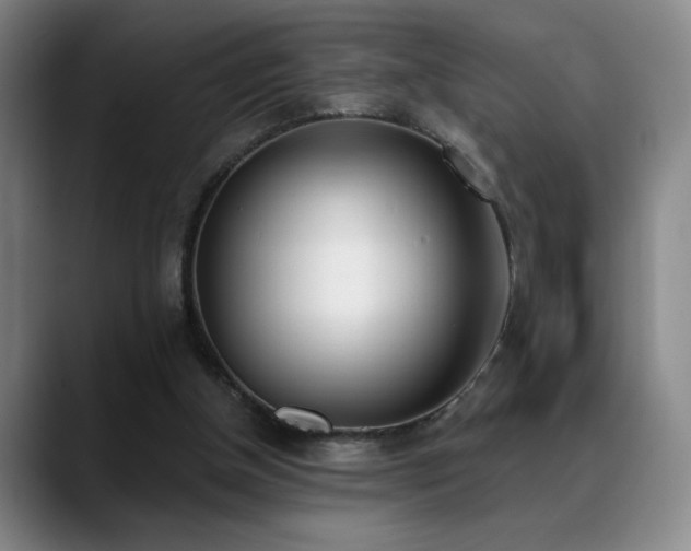 X0000089390154200706151228