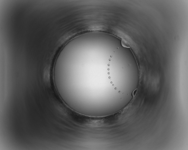 X0000089390155200706151228