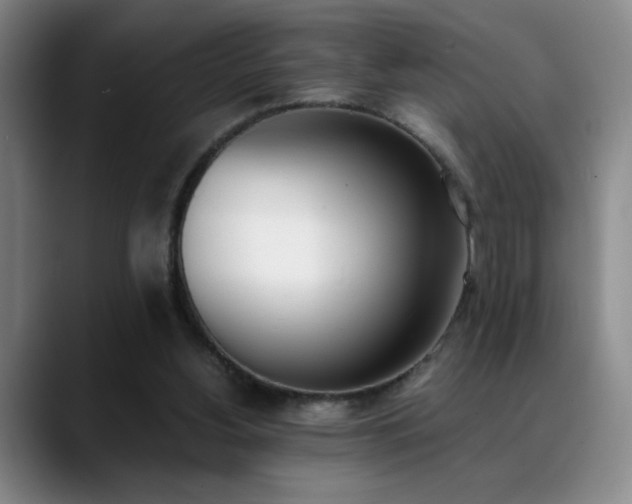 X0000089390156200706151228