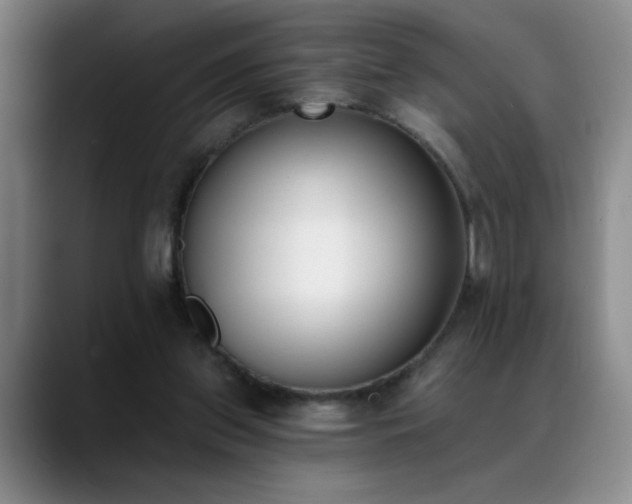 X0000089390157200706151228