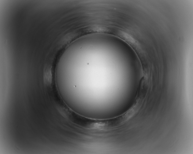 X0000089390158200706151228