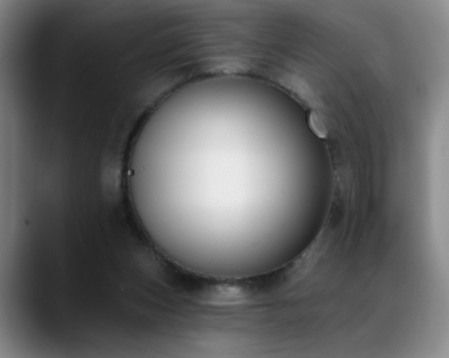 X0000089390159200706151228