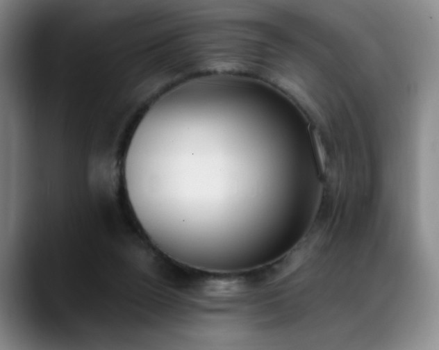 X0000089390160200706151228