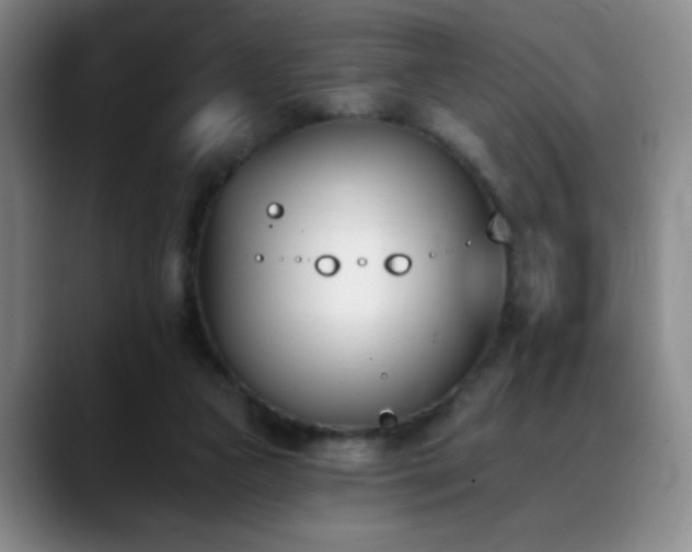 X0000089390161200706151228
