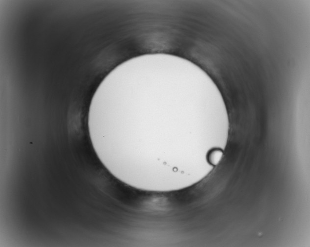 X0000089390162200706151228