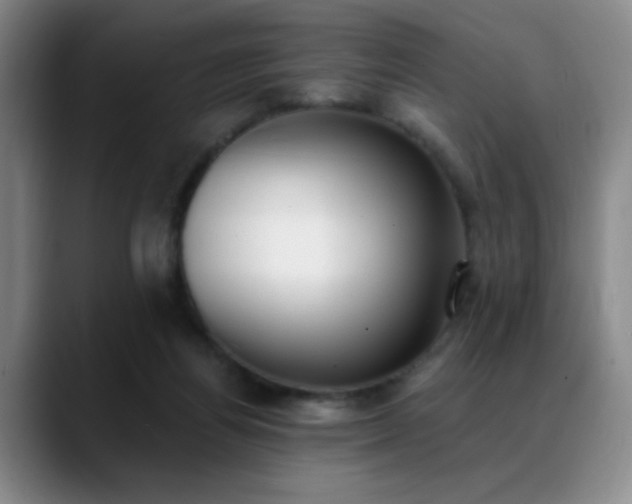 X0000089390164200706151228