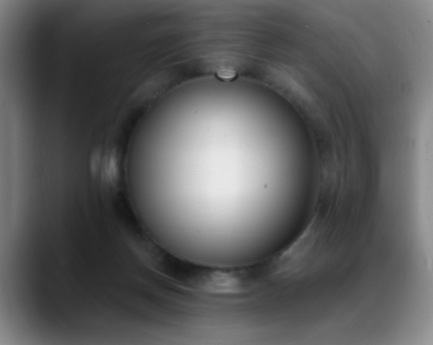 X0000089390166200706151228
