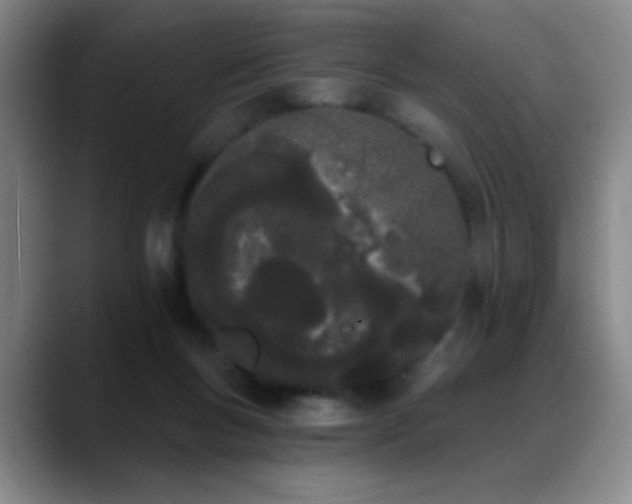 X0000089390167200706151228