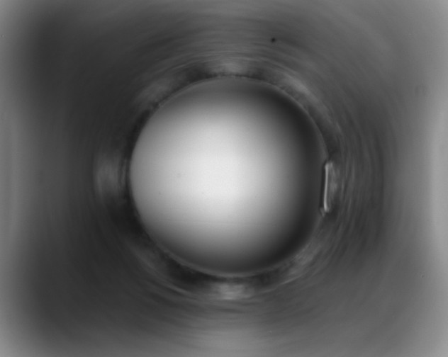 X0000089390168200706151228