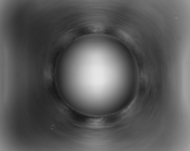 X0000089390170200706151228