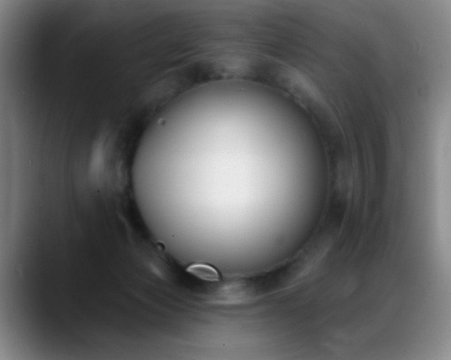 X0000089390173200706151228