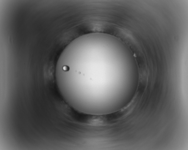 X0000089390175200706151228