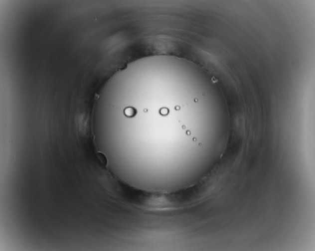 X0000089390177200706151229