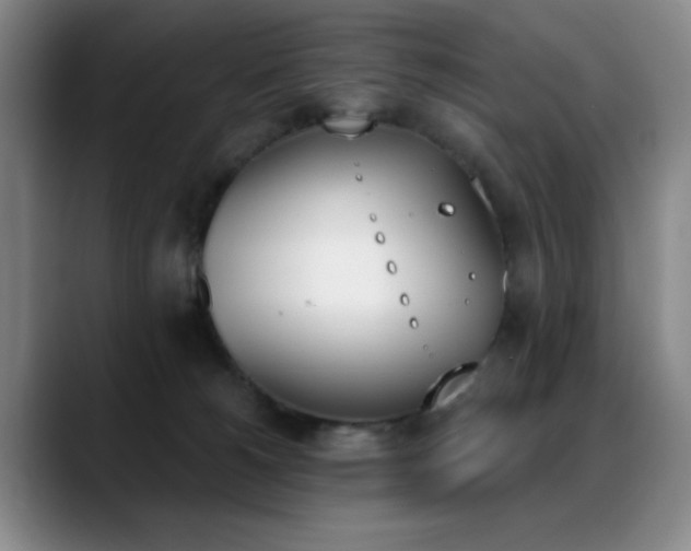 X0000089390180200706151229