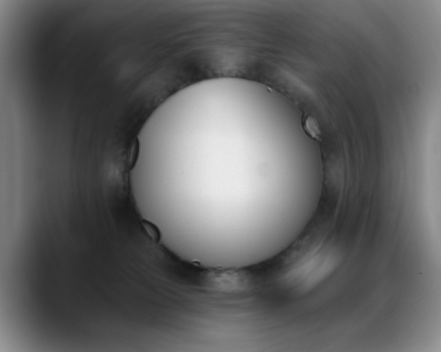 X0000089390181200706151229