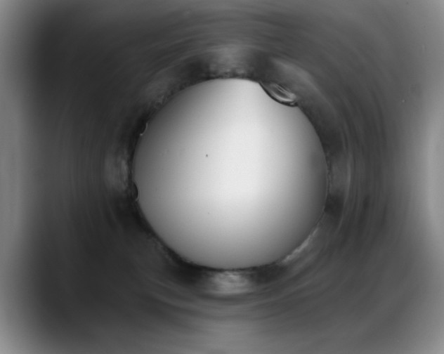 X0000089390183200706151229