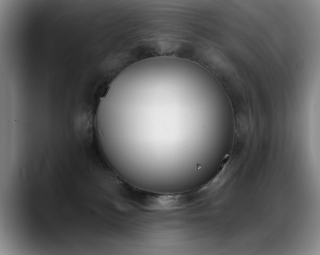 X0000089390184200706151229