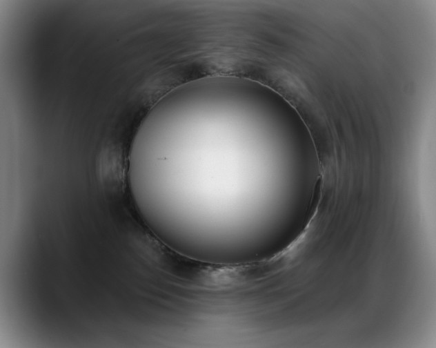 X0000089390186200706151229