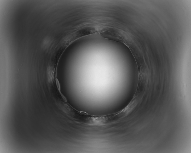X0000089390188200706151229