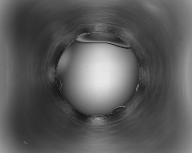 X0000089390189200706151229