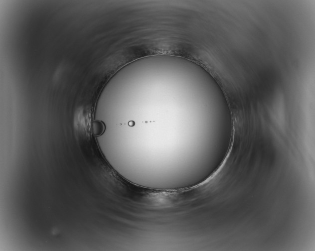 X0000089390190200706151229