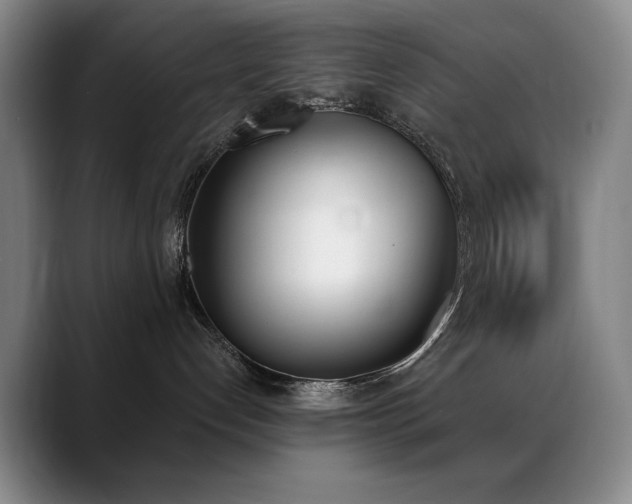 X0000089390192200706151229