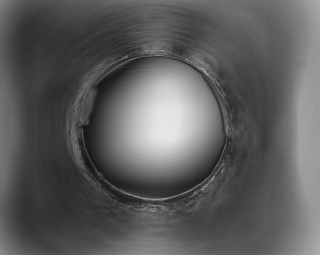X0000089390193200706151228