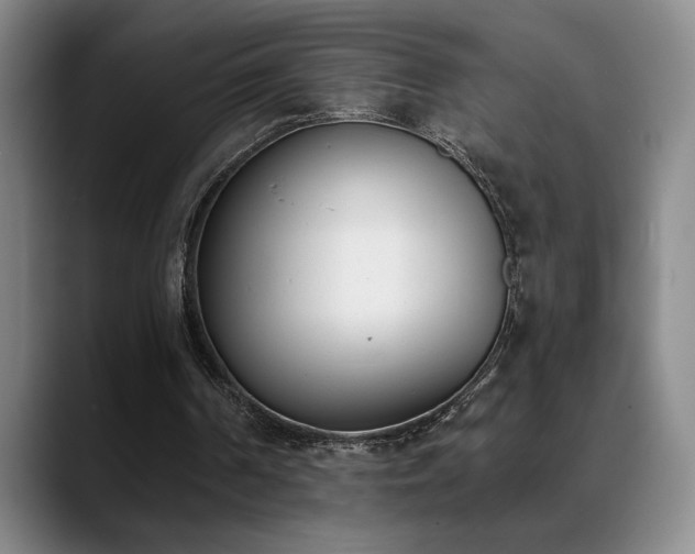 X0000089390194200706151228