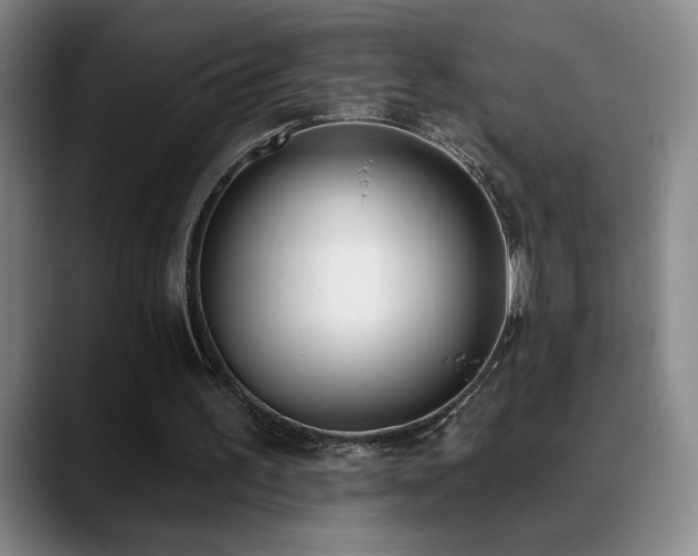 X0000089390195200706151228