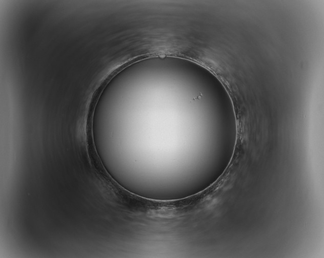 X0000089390196200706151228